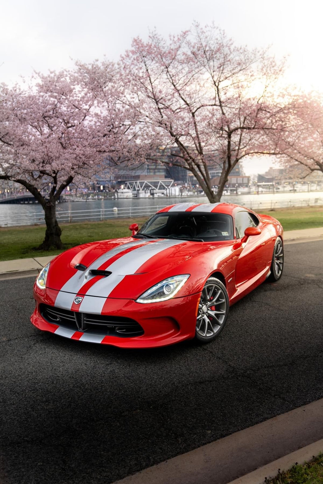 Why Cars and Coffee Belong Together